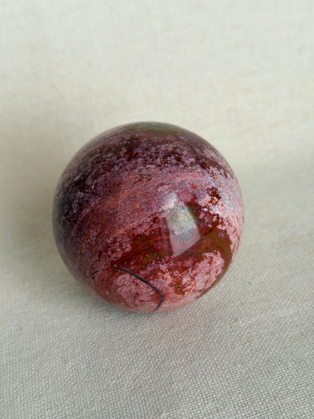 Versteend Hout Bol
