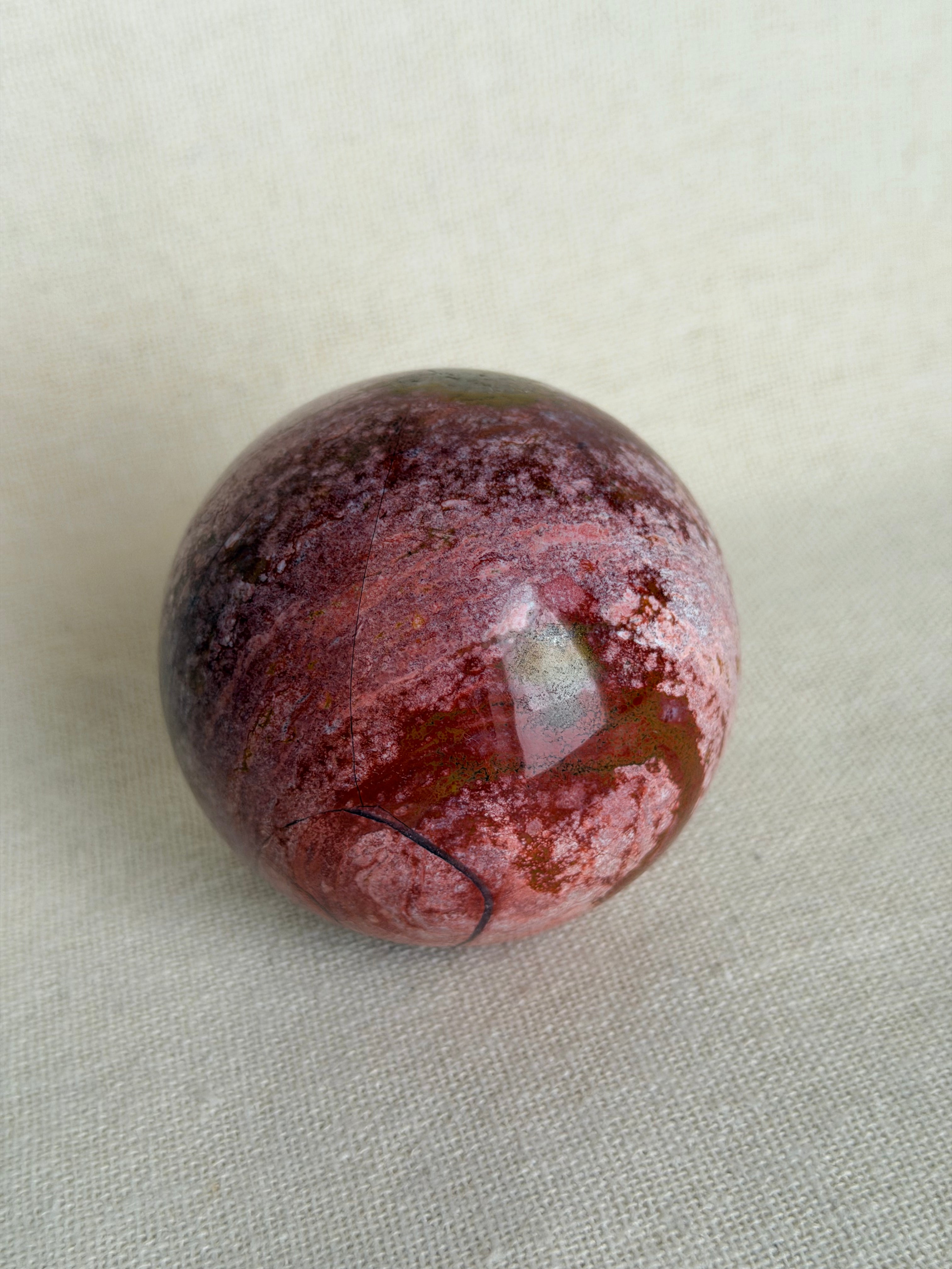Versteend Hout Bol