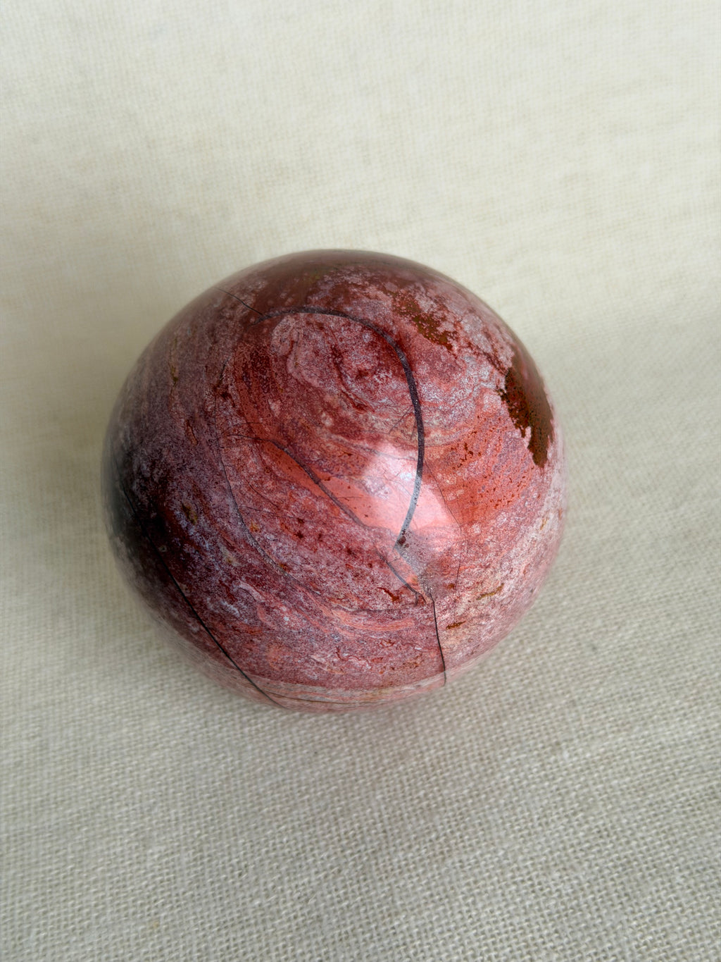Versteend Hout Bol