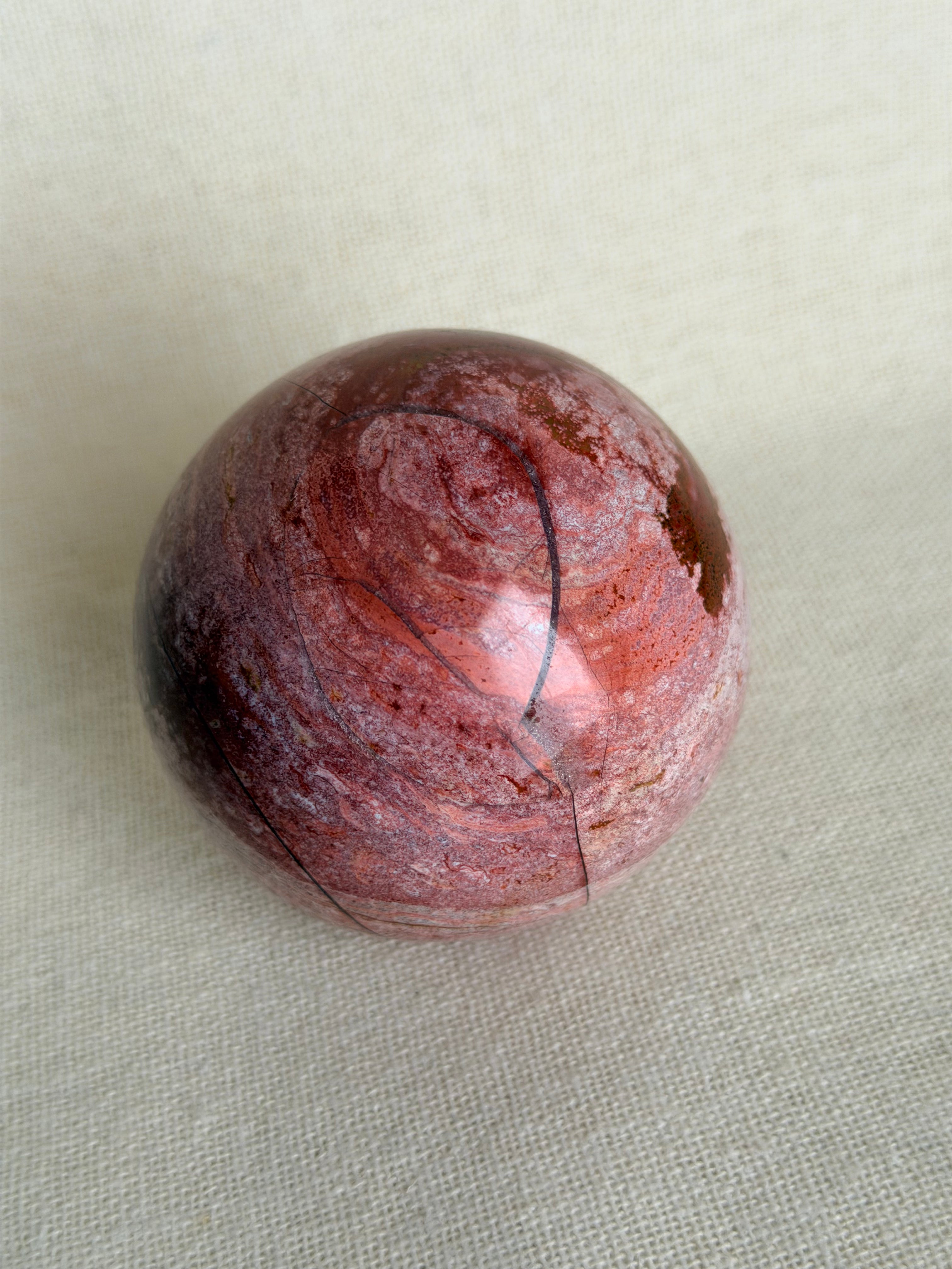 Versteend Hout Bol