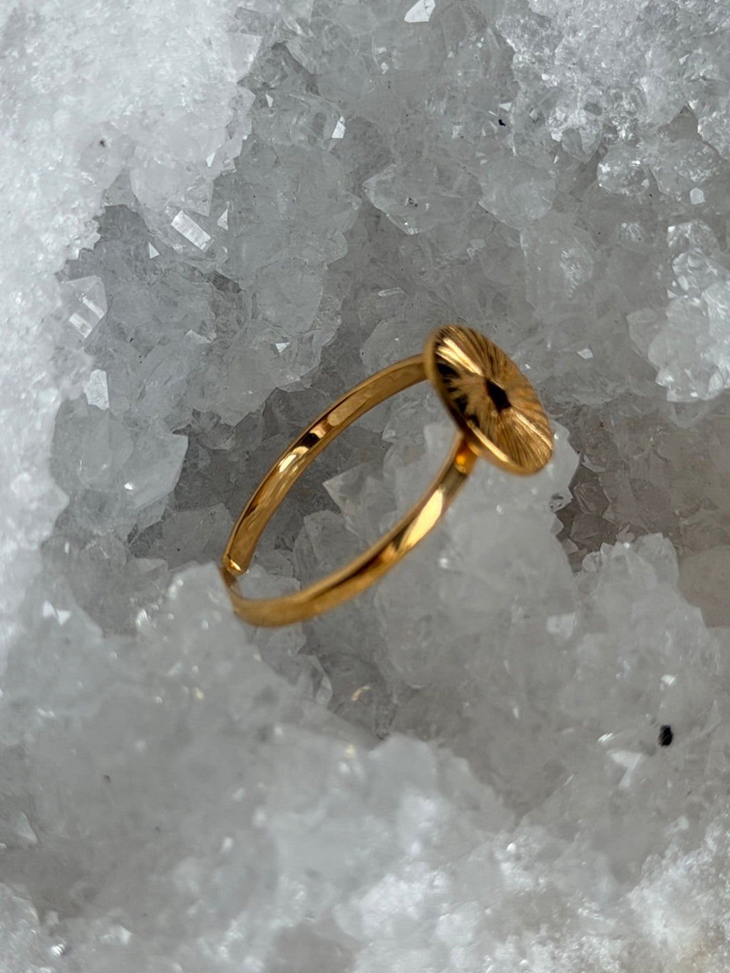 RAVI-ring met granaat en zonnesymbool