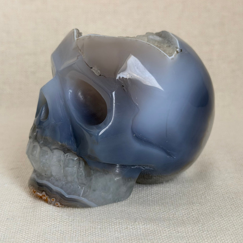 Agaat Schedel met Kwartsgeode – Uniek exemplaar