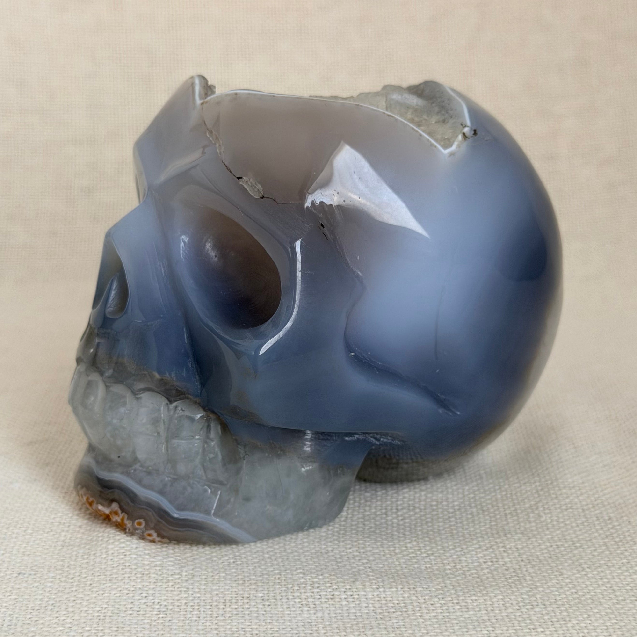 Agaat Schedel met Kwartsgeode – Uniek exemplaar