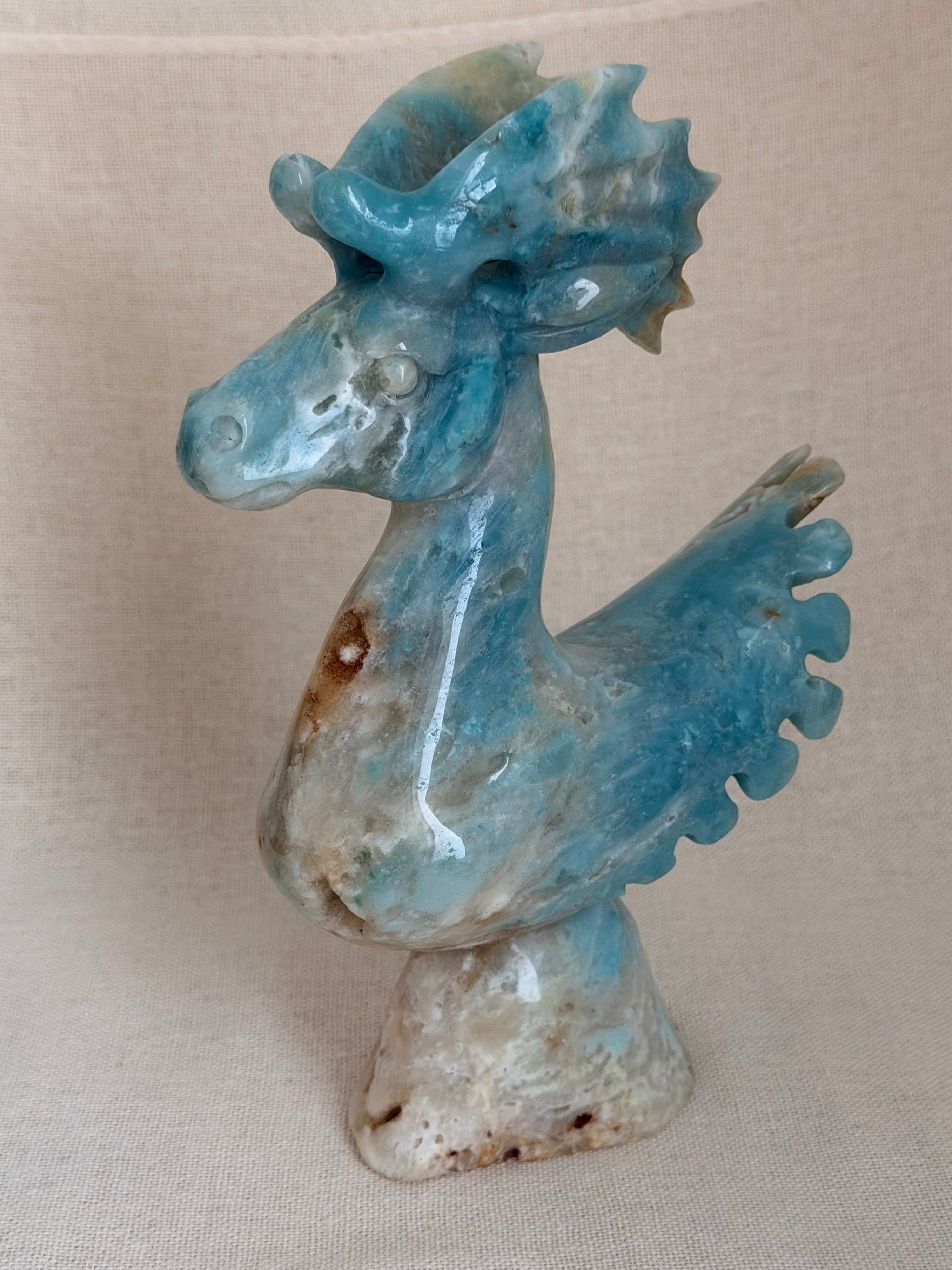 Amazoniet Draak – Uniek exemplaar